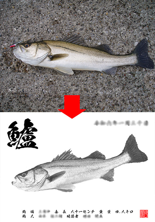 デジタル魚拓　墨風